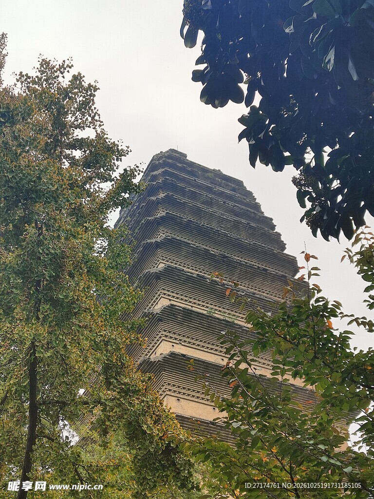 林间古塔仰拍