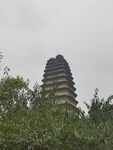 树丛掩映的古塔
