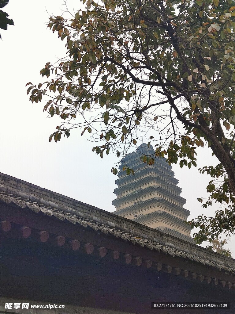 树影掩映古塔