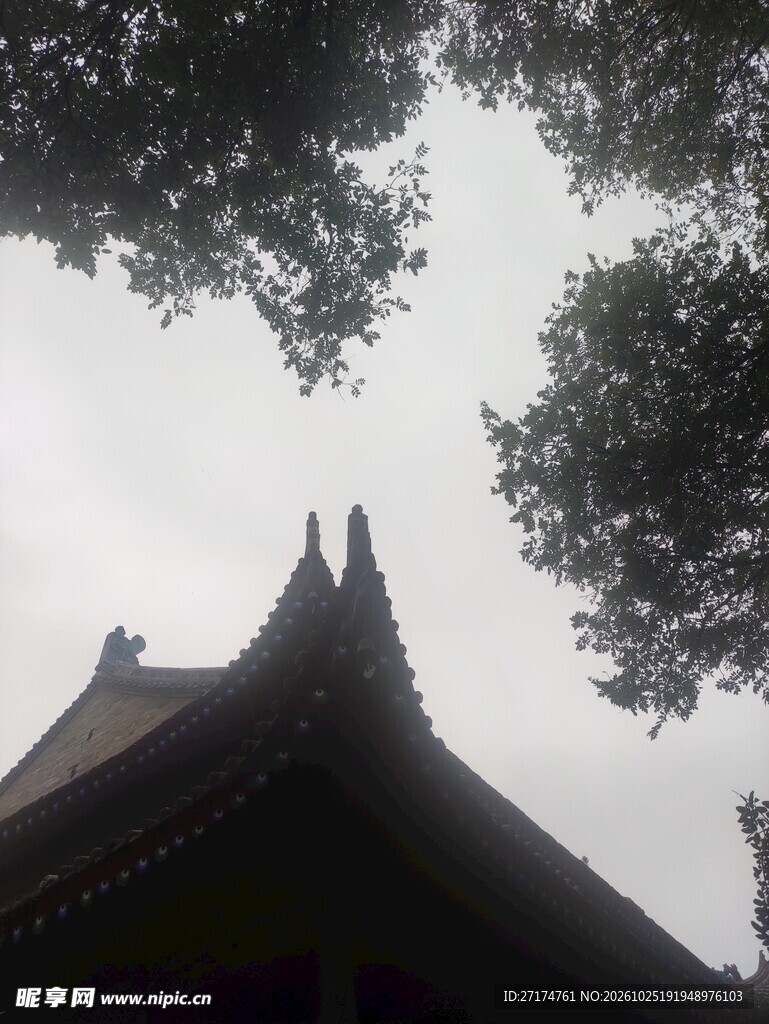古建檐角树影剪影