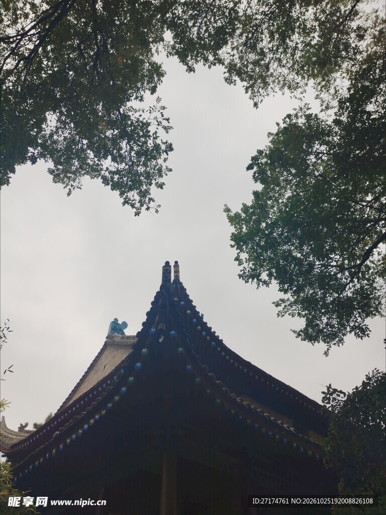 古建飞檐树影天色