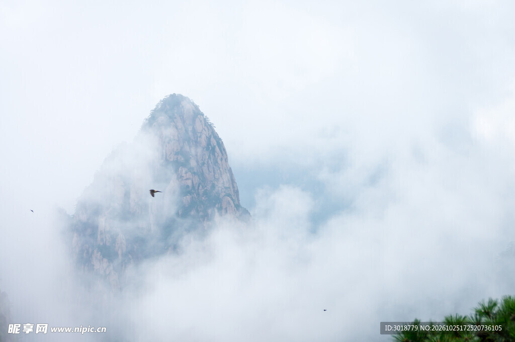 雾中隐现的山峰