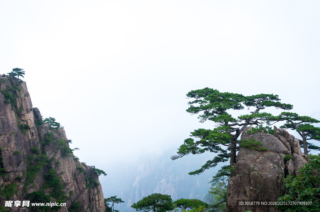 黄山奇松山岳风光
