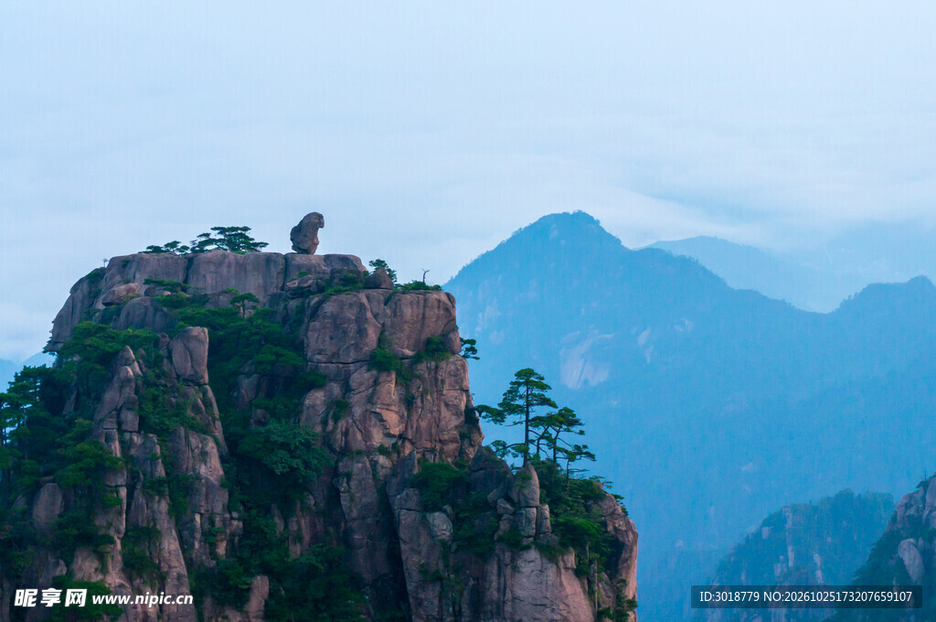 黄山猴子观海奇景