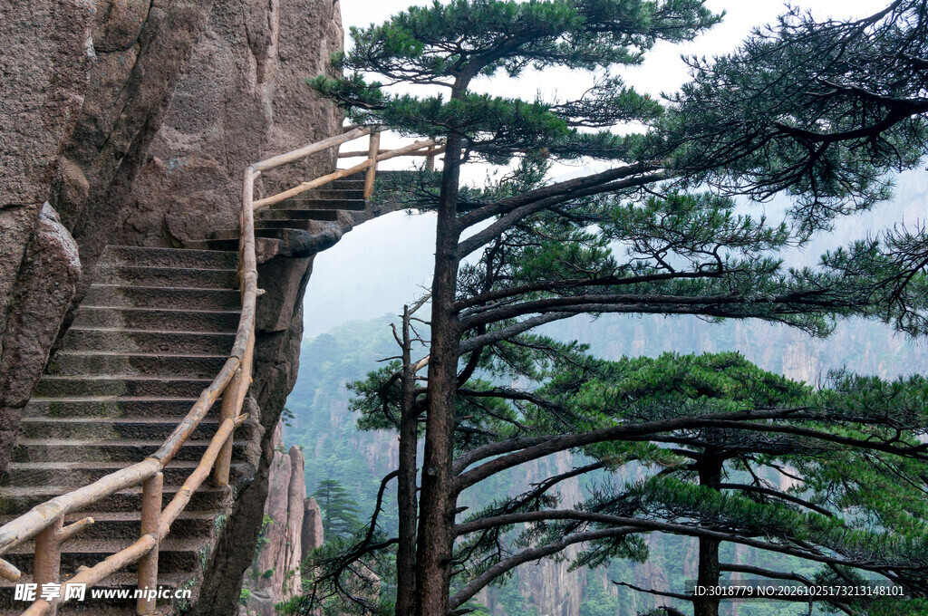 山间崖壁栈道风光