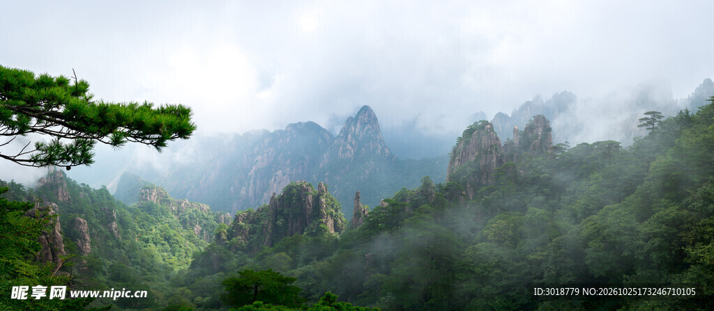 云雾仙山迎客松