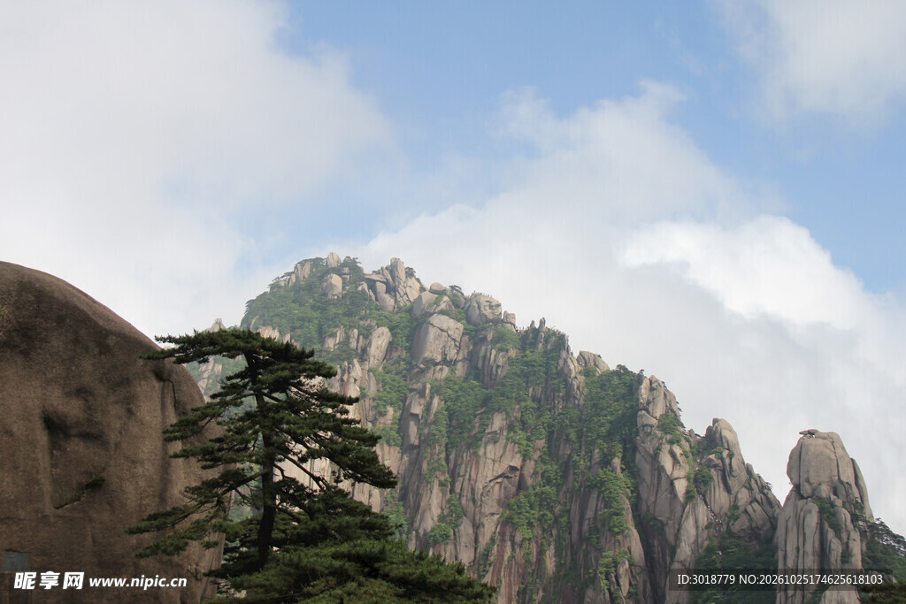 名山奇峰苍松胜景