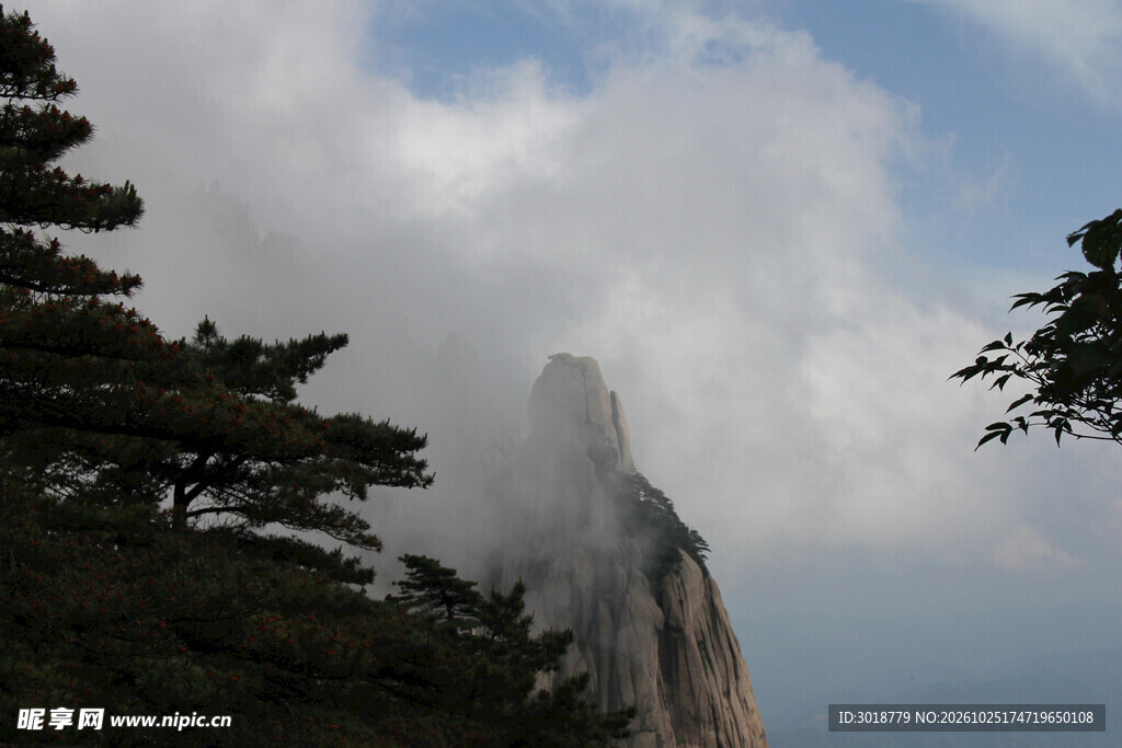 雾绕奇峰苍松景观