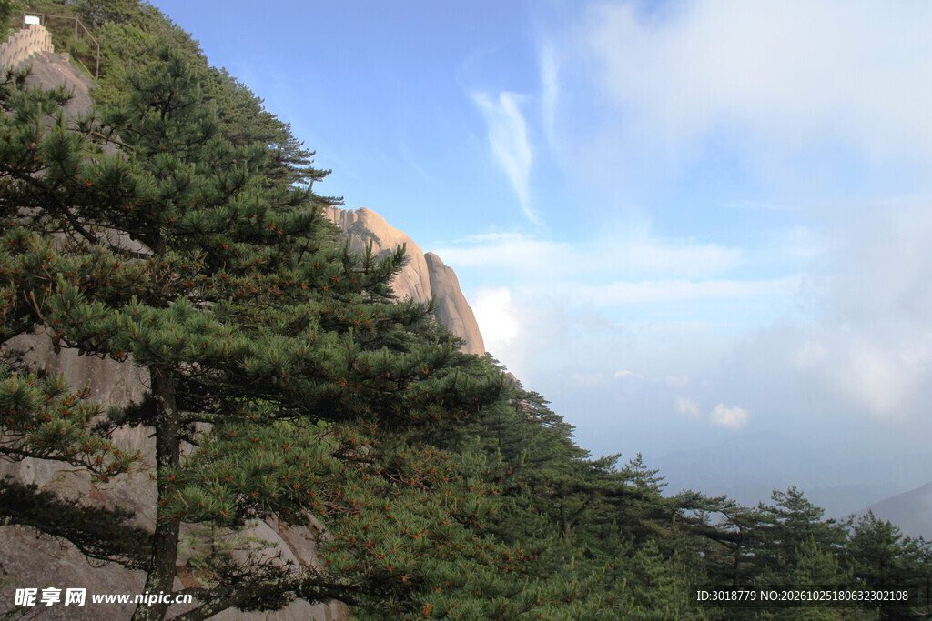 山崖青松晴日山野风光