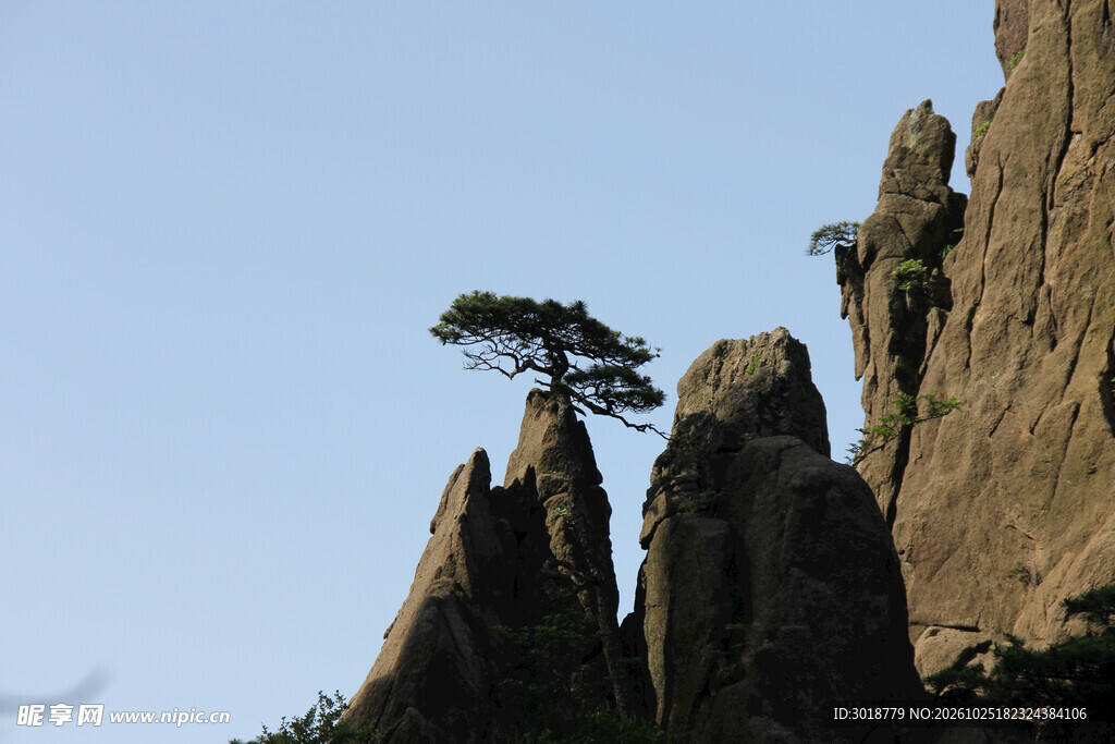 黄山奇松怪石景观