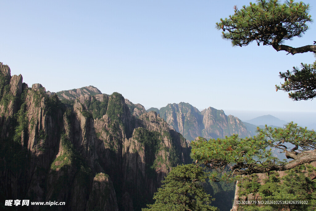 晴日山间松崖风光