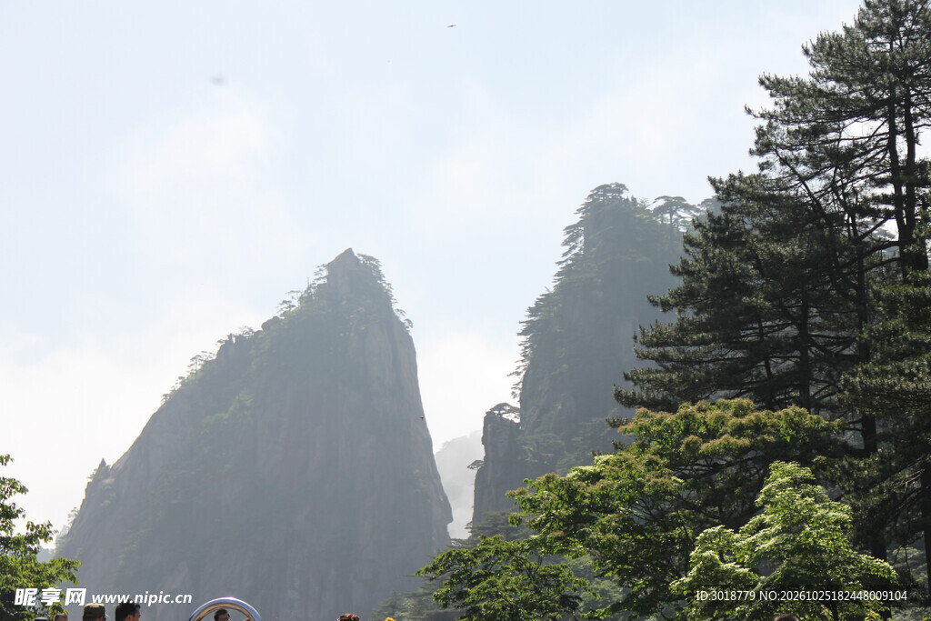 奇峰松立山野风光