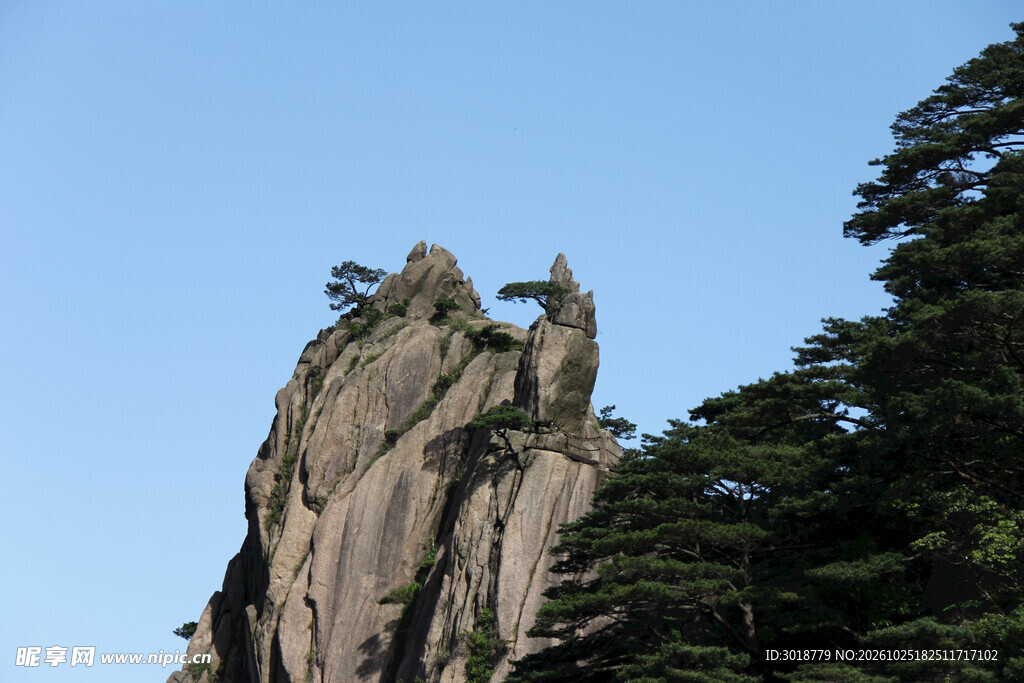 黄山奇松怪石风光