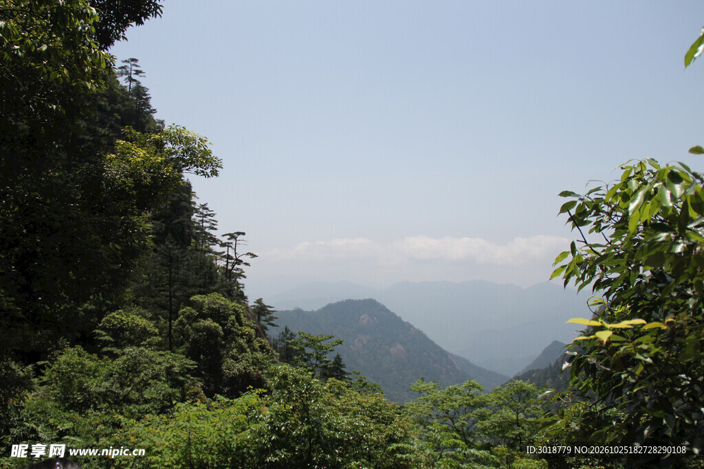 林间远眺青山远景