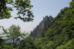 青山翠林山野风光
