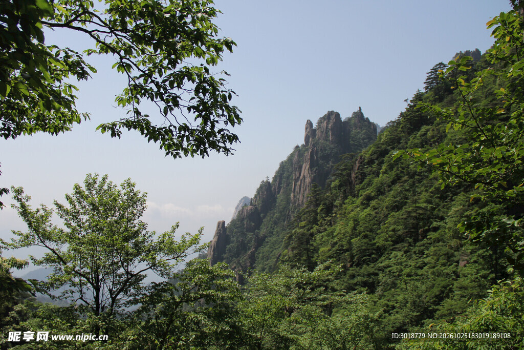 青山翠林山野风光