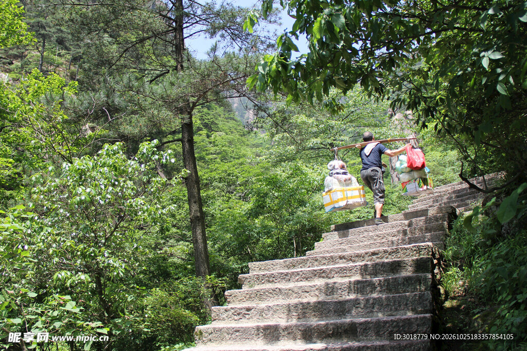 林间石阶登山的游人