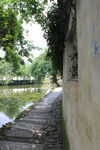 河畔林荫步道