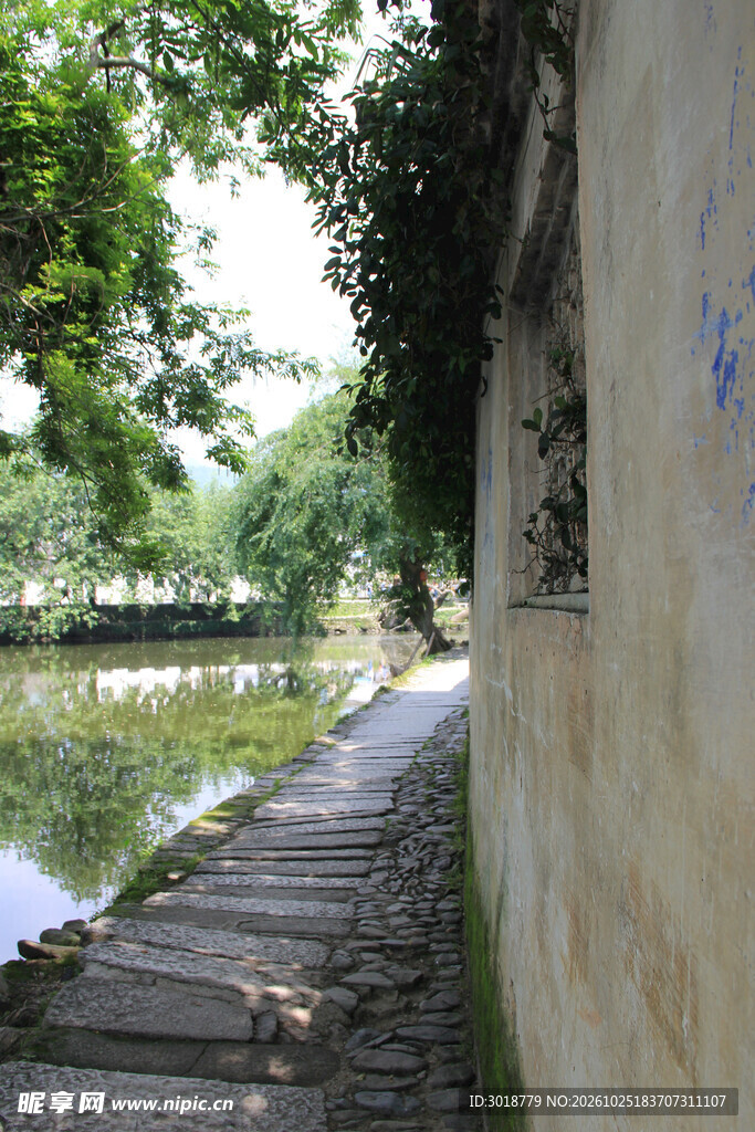河畔林荫步道