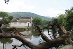 水畔古村山水风光