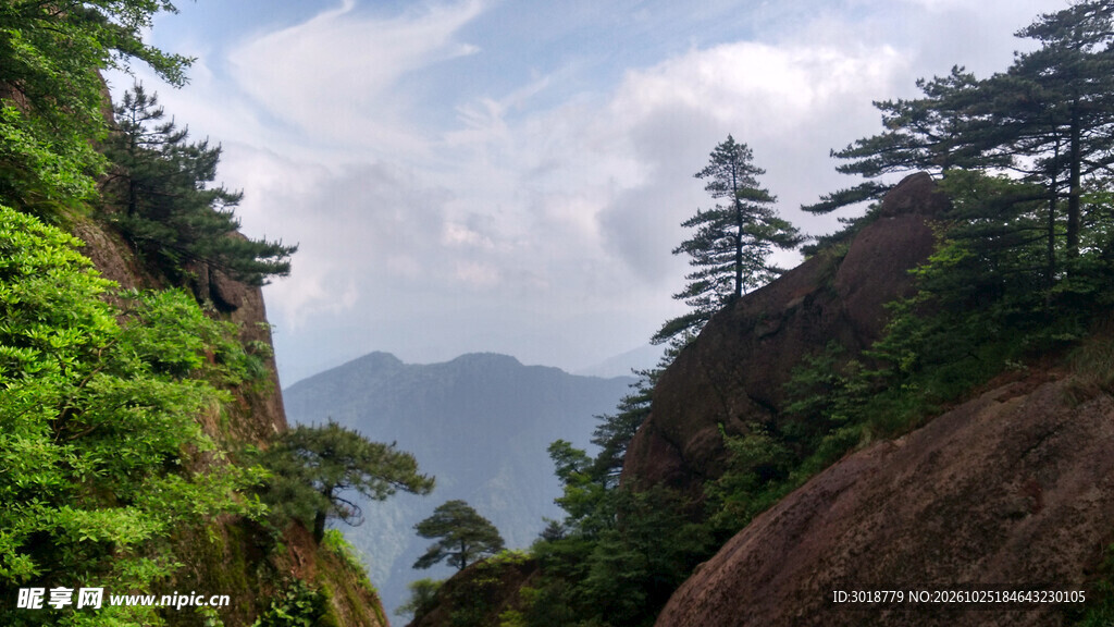 山间松林自然景观