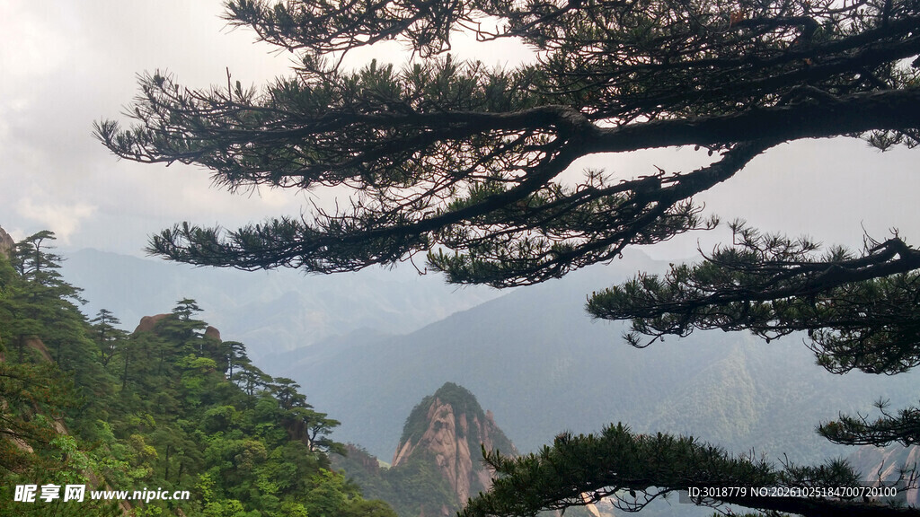 黄山迎客松远眺山景