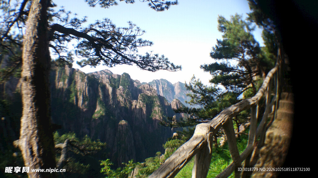 林间远眺山景风光