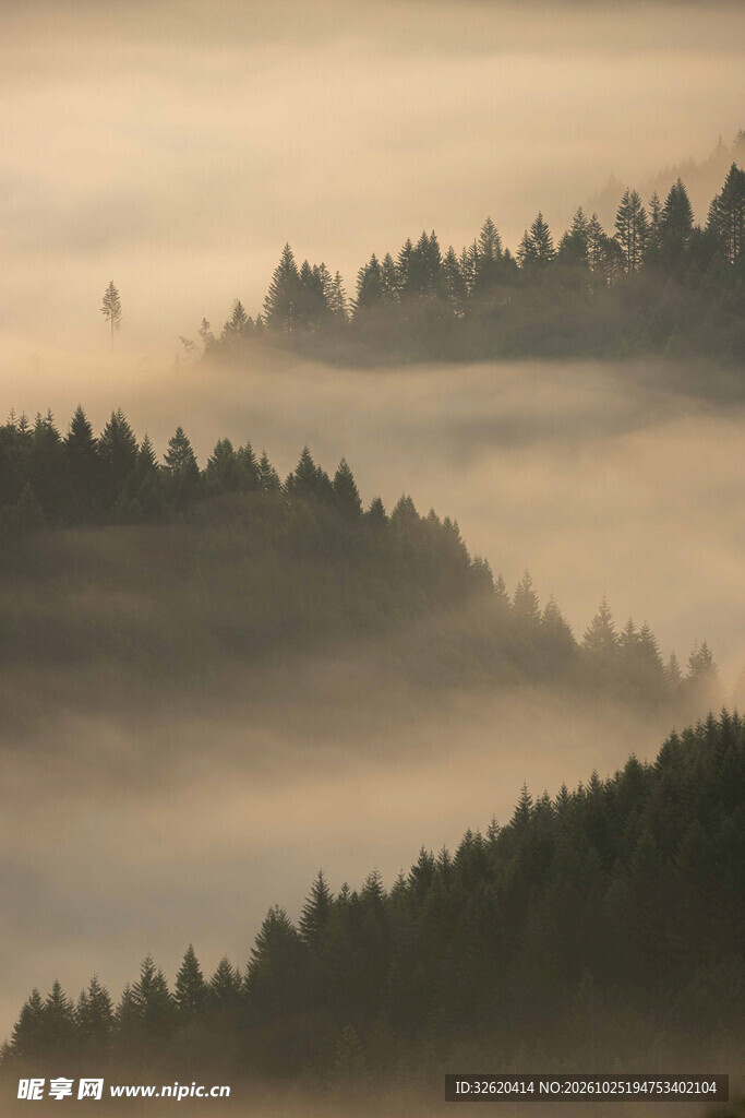 雾绕层叠山林晨景