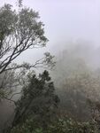 雾漫山林朦胧景致