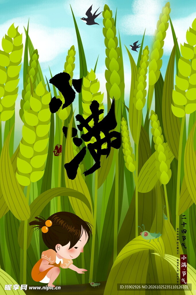 小满节气手绘插画