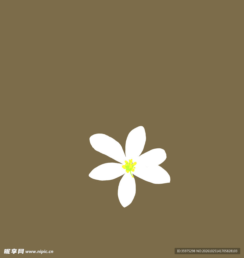 白色的花