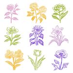 花卉线稿素材
