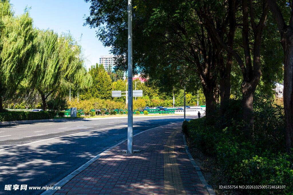 夏日林荫城市道路