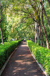 公园林荫步道