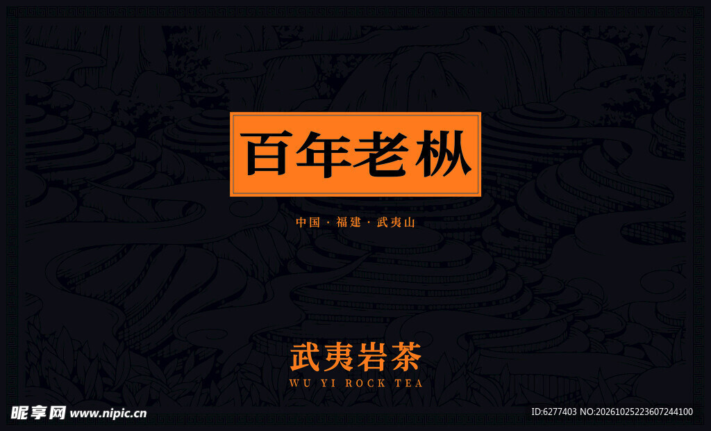 百年老枞武夷岩茶