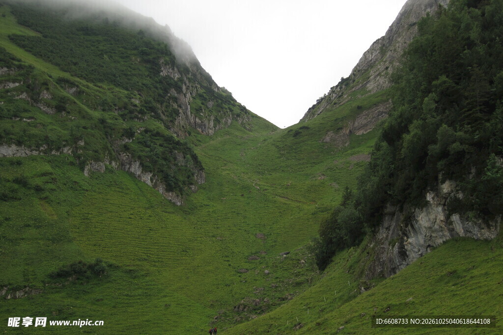 雾绕青山草甸山谷风光