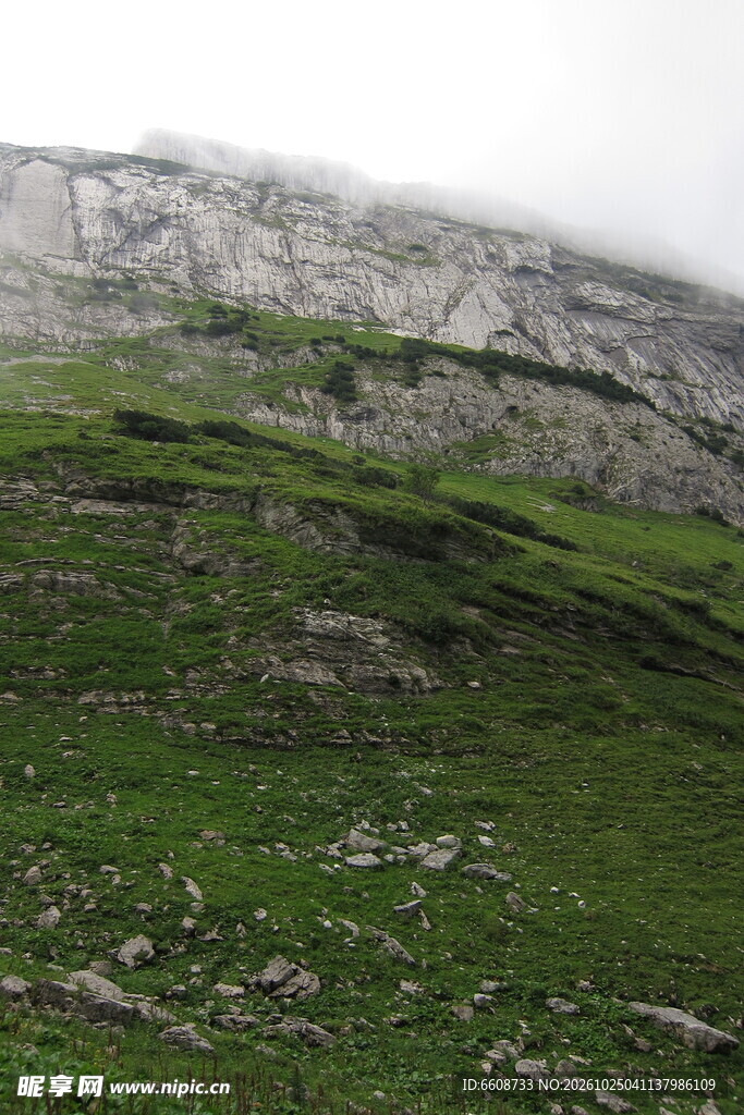 雾中山坡草甸风光