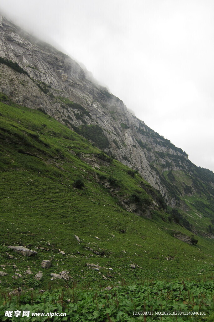 雾中山坡自然风景