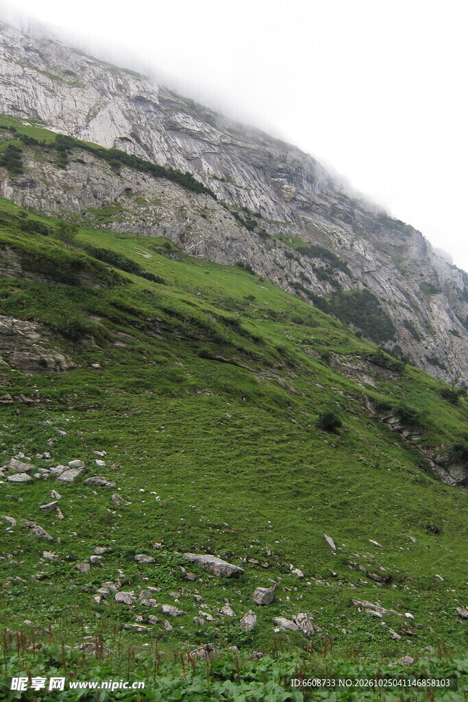 高山草甸山野风光