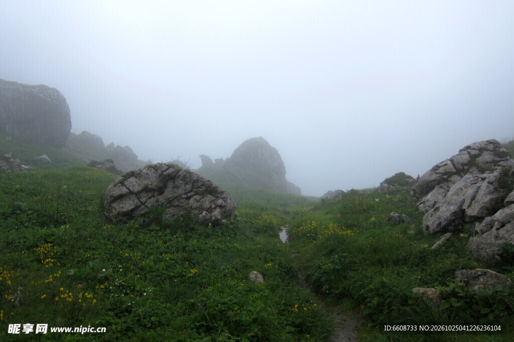 雾漫山间草甸风光