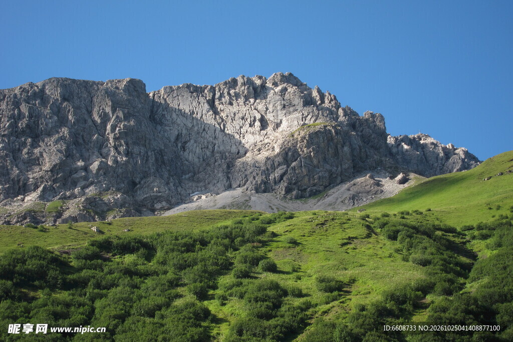高原草甸晴日山景