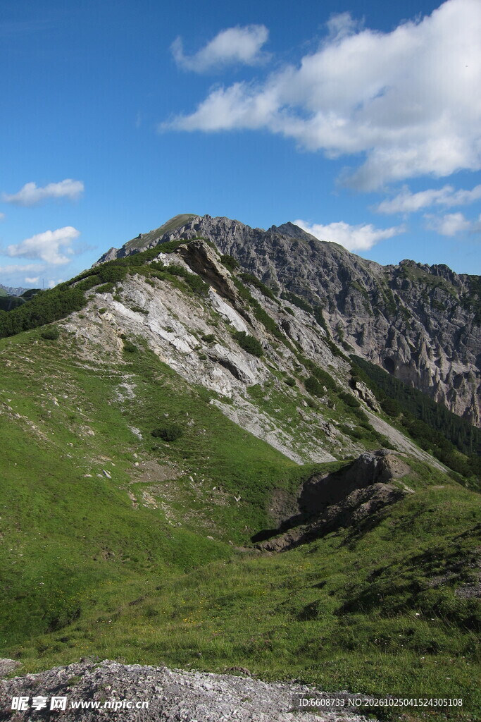 高山草甸山野风光