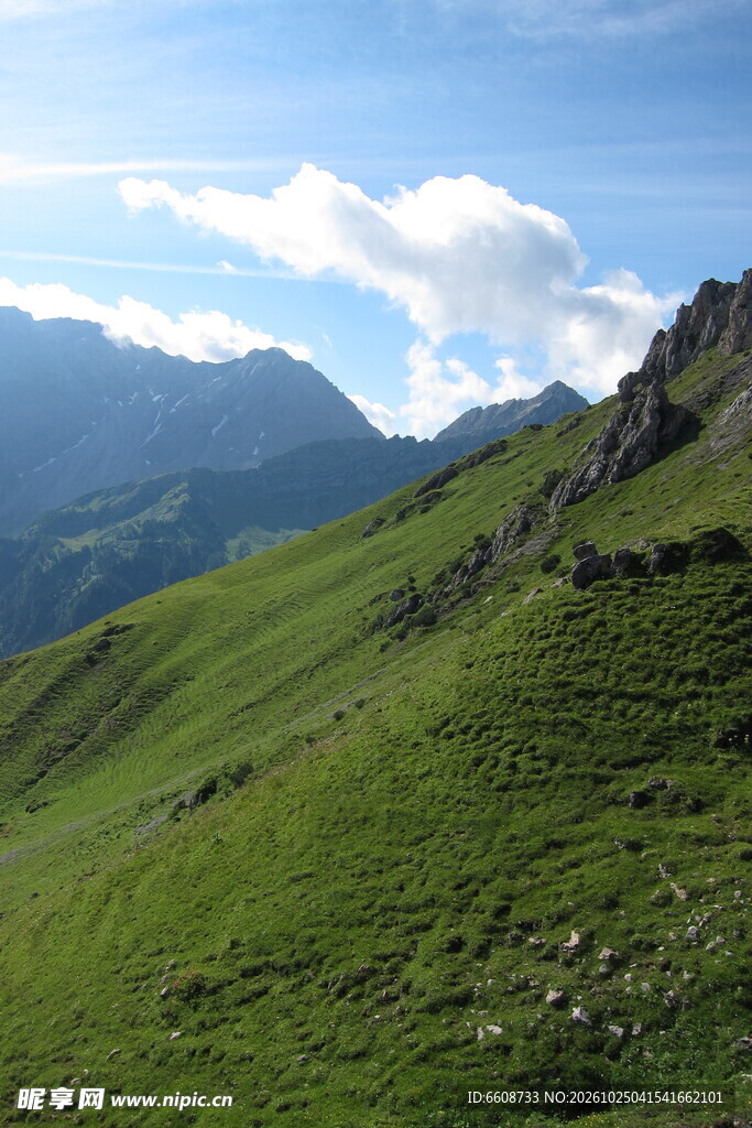 高山草甸晴日美景