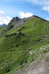 高山草甸山野风光