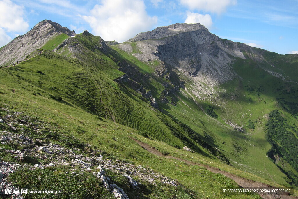 高山草甸山野风光