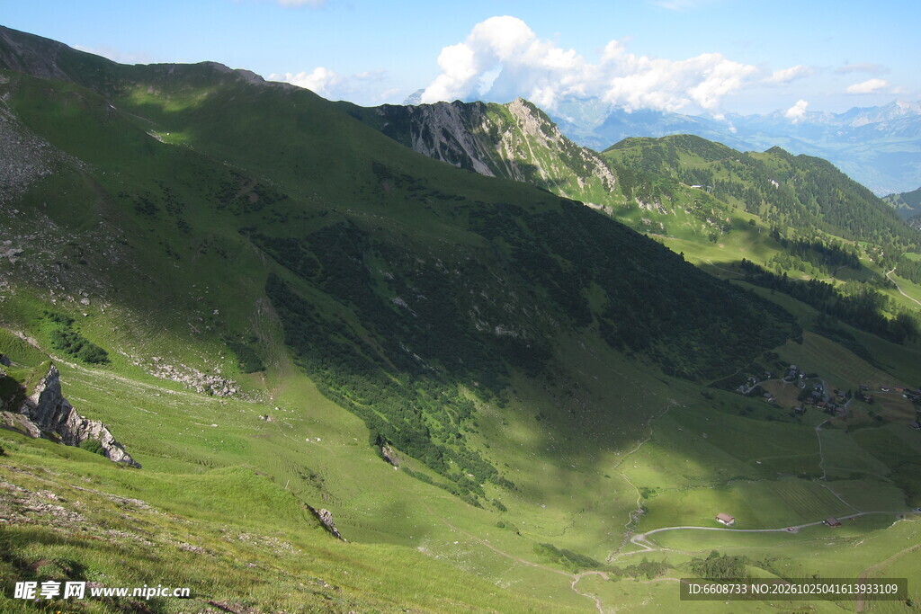 青山草甸山野风光