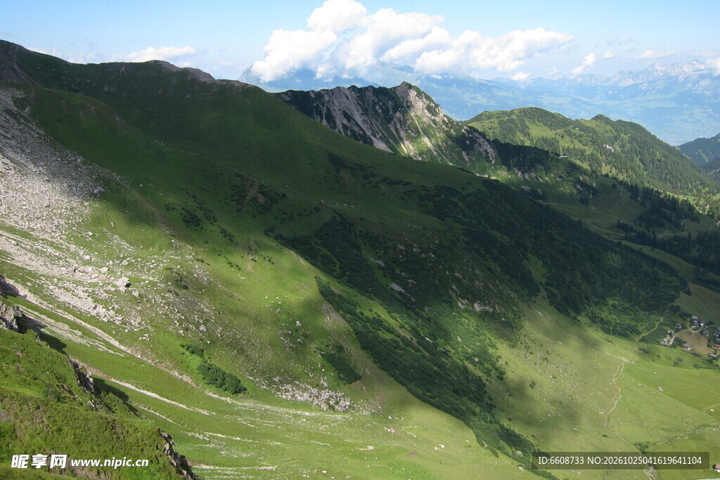 青山草甸山野风光