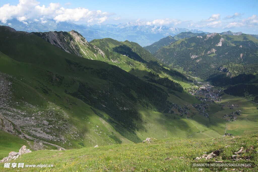 高山草甸山野风光