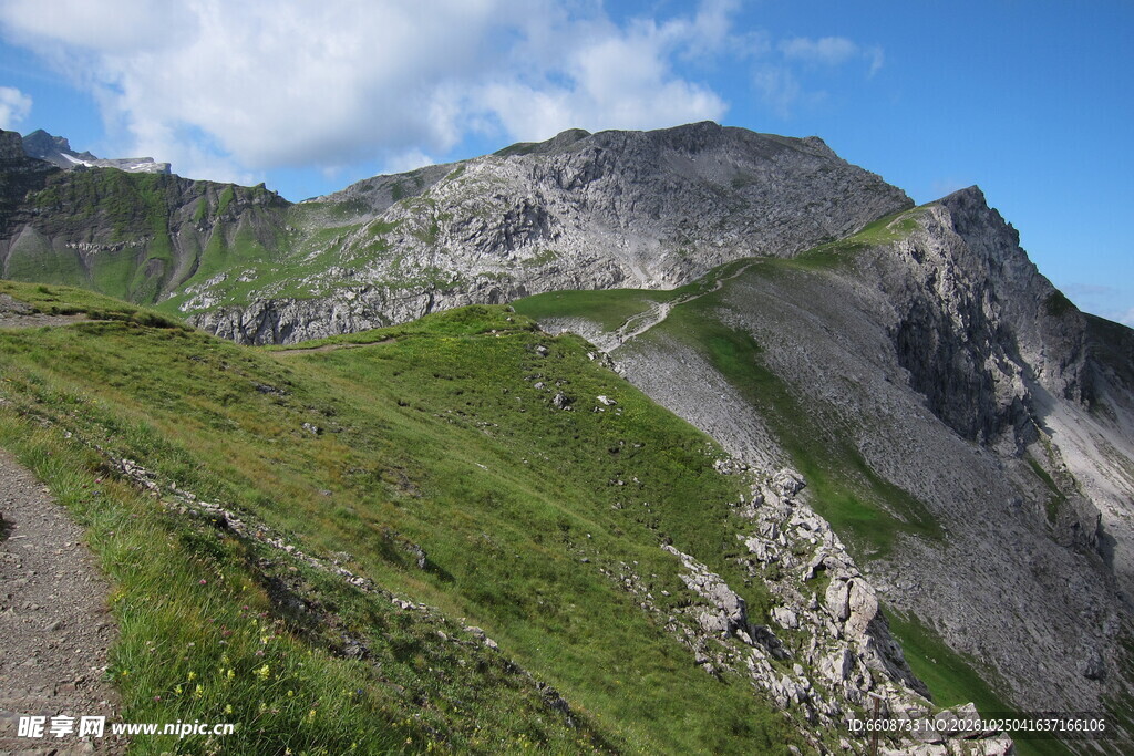 高山草甸自然风光