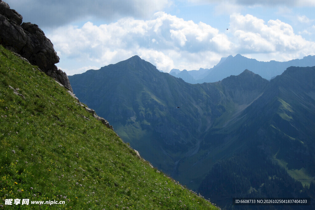 高山草甸山野风光